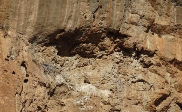 Zona rocosa de la propuesta del sendero Sot de Chera. 