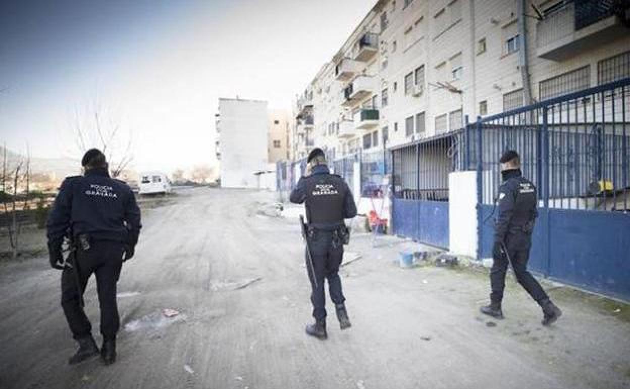 Actuación de la Policía Local de Granada