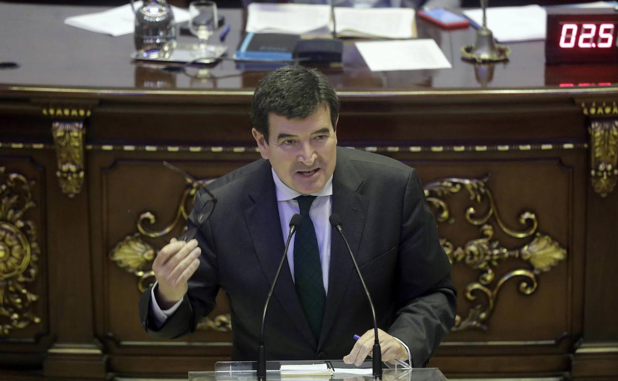 El portavoz de Ciudadanos, Fernando Giner, en el pleno. 