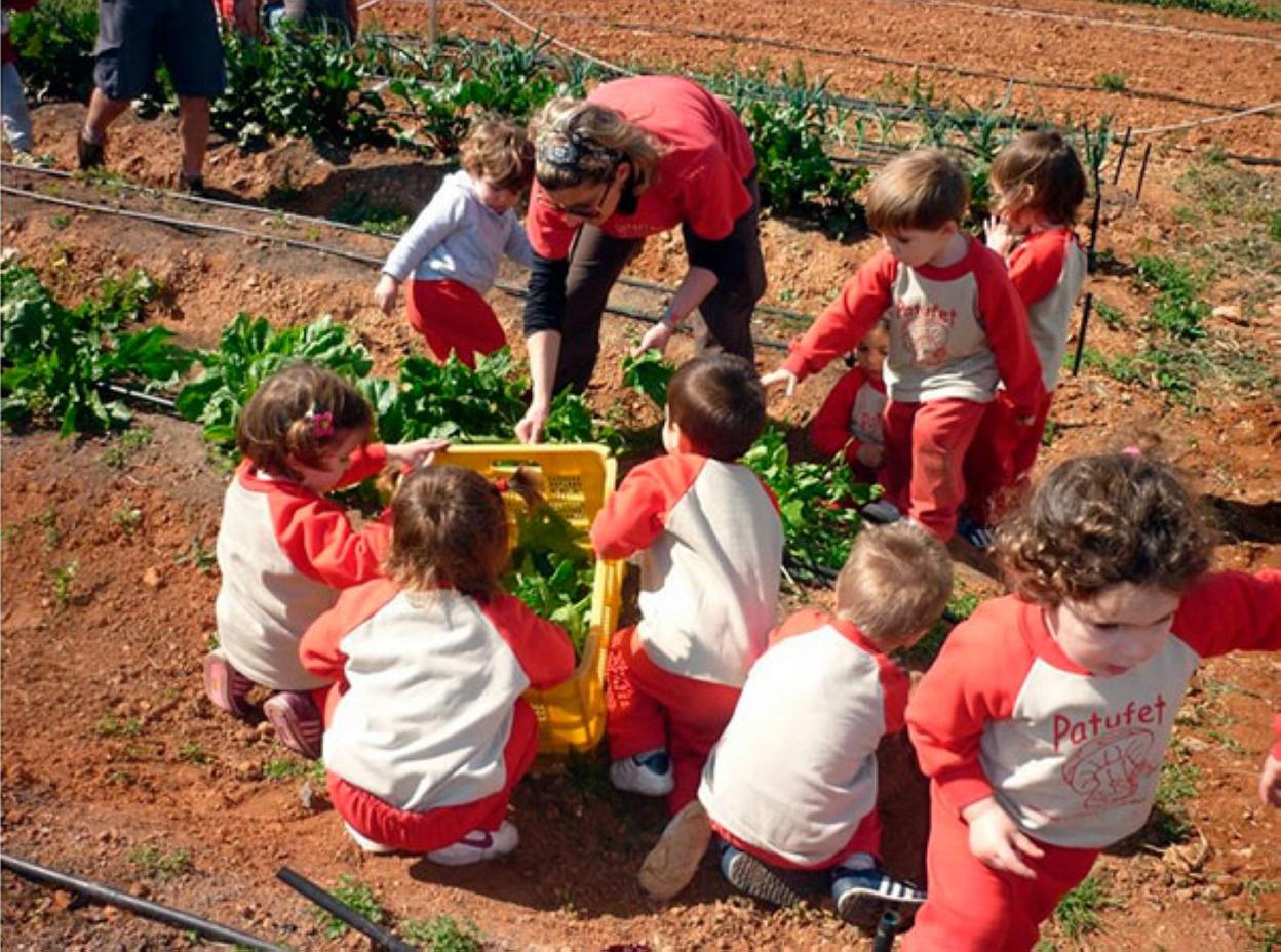 El centro cuenta con un huerto para el aprendizaje de los pequeños. 