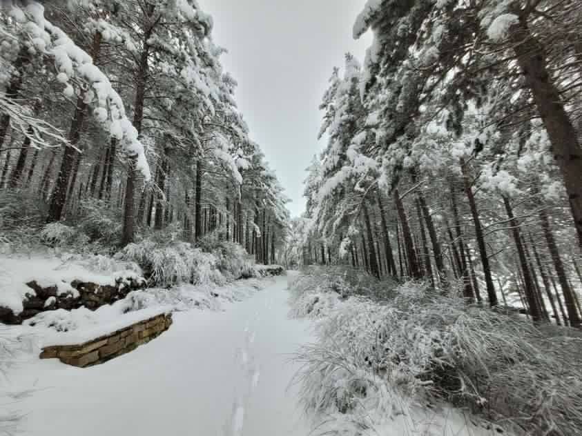 Nieve en Morella