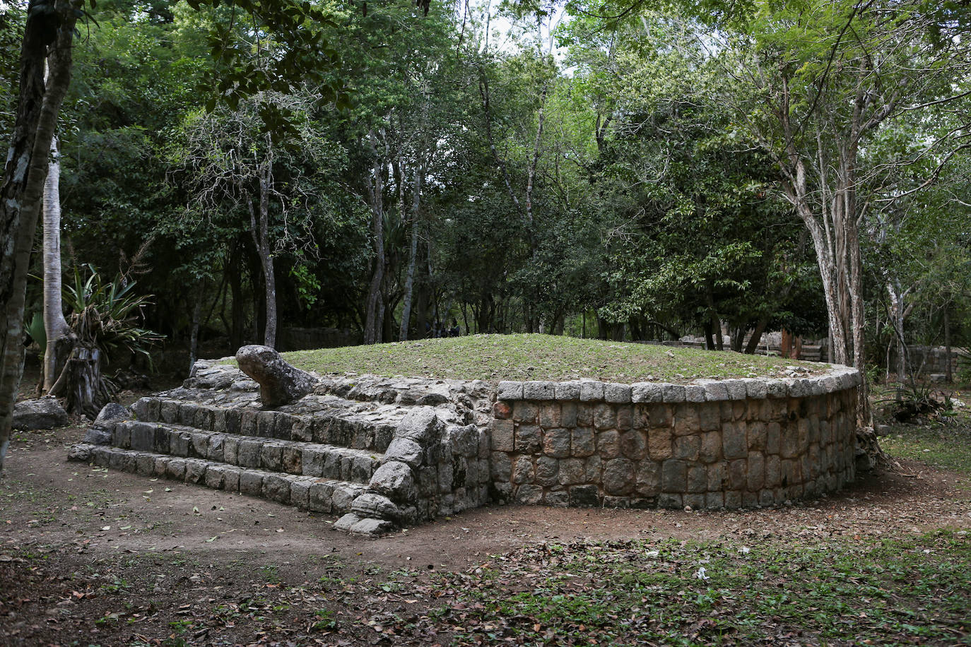 Fotos: Fascinante descubrimiento maya: encuentran la tumba de un personaje de la élite