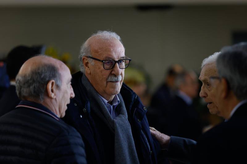 Vicente del Bosque