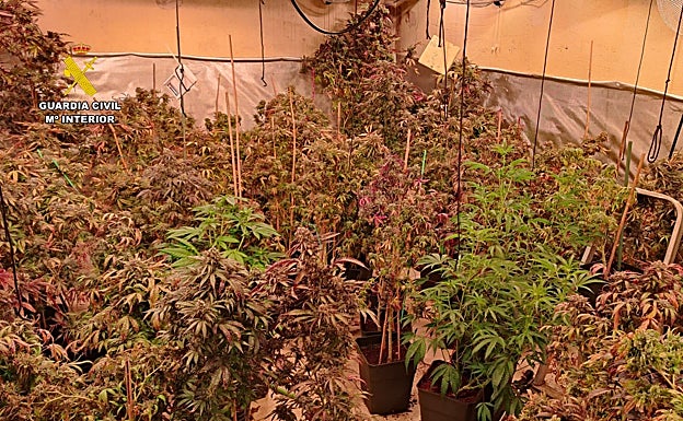 Desmantelan en Teulada Moraira un entramado criminal de venta de droga al extranjero