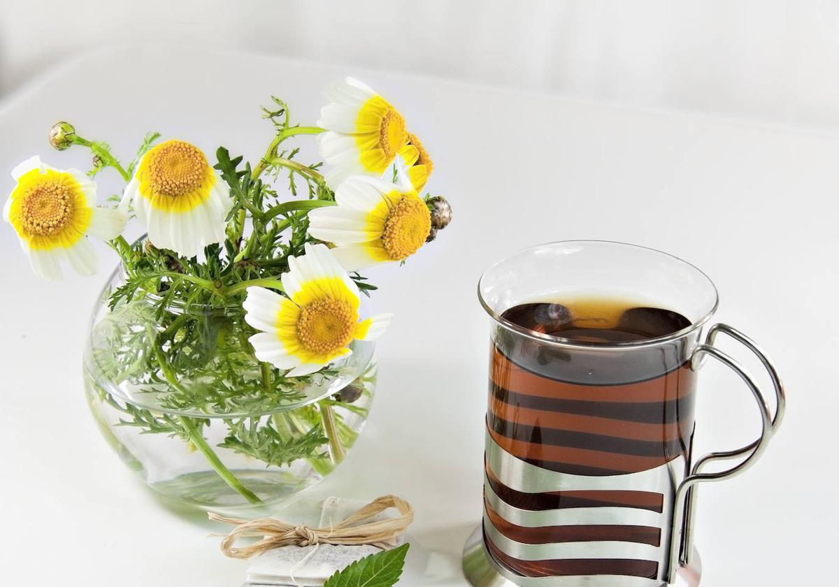 La infusión de hibisco aporta beneficios al organismo.