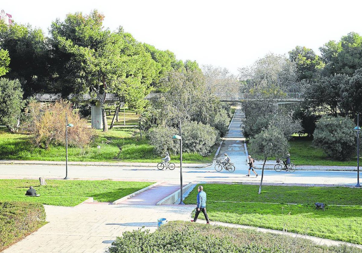 Los ocho kilómetros del viejo cauce del río Turia hacen de Valencia una ciudad única.