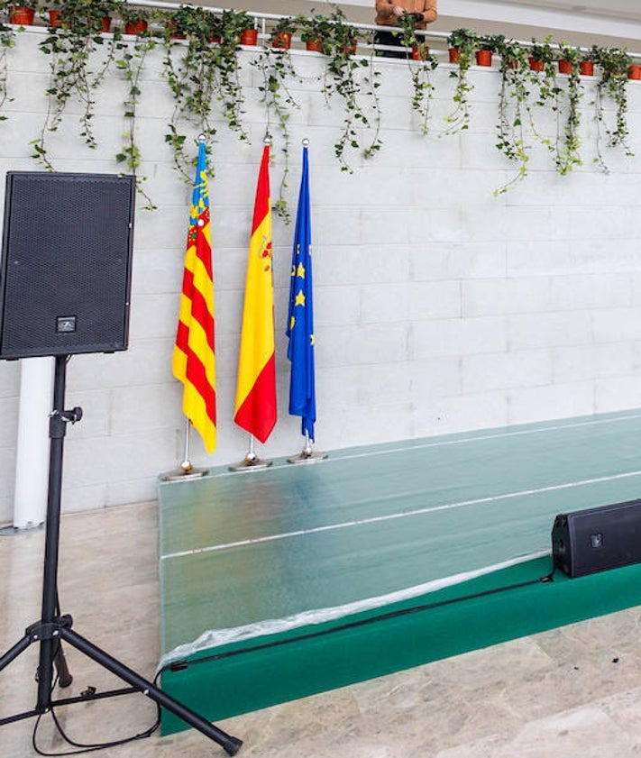 Imagen secundaria 2 - Símbolo de la Capitalidad Verde Europea de Valencia lleno de plantas y decoración del interior del Palau de la Música.