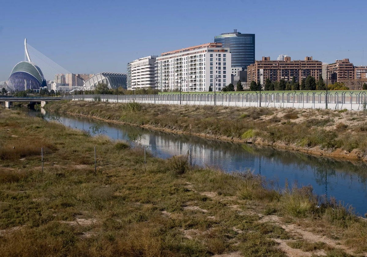 Zona donde se proyecta el parque de desembocadura, con l'Oceanogràfic en el fondo.