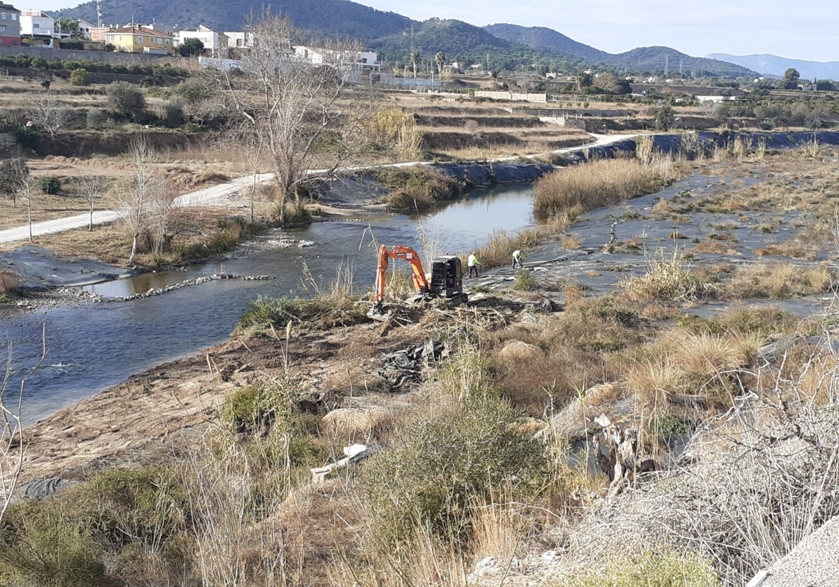 Plantación de árboles en el largo del río Túria.