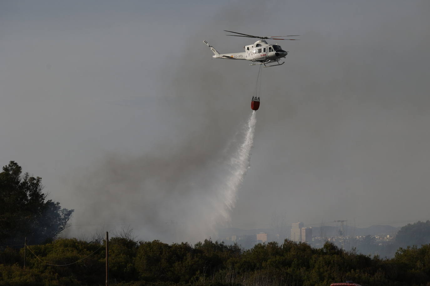 Incendio entre el Saler y Pinedo