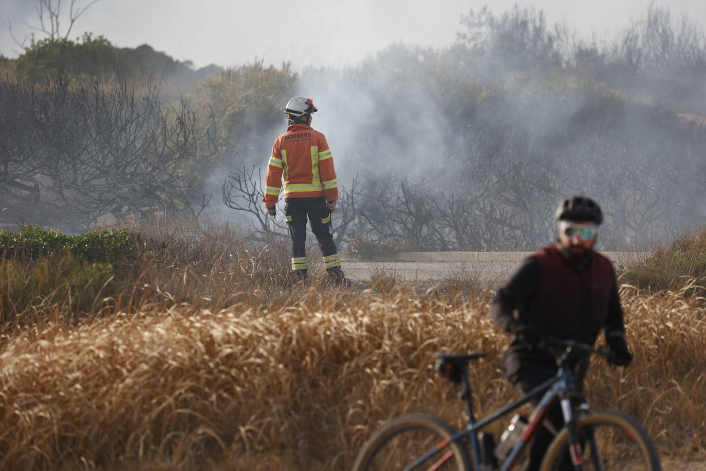 Incendio entre el Saler y Pinedo