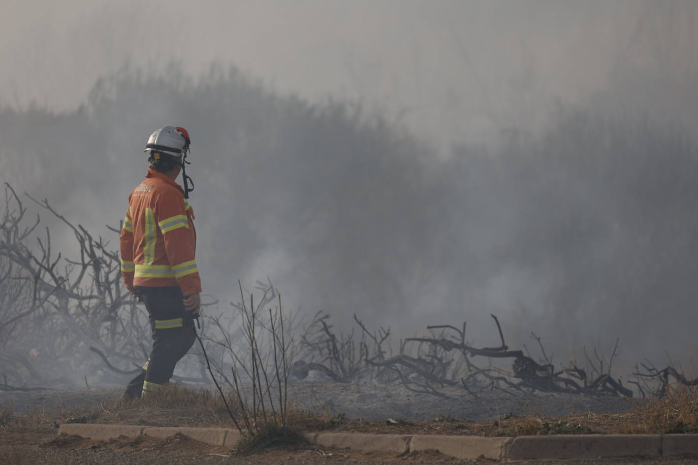 Incendio entre el Saler y Pinedo