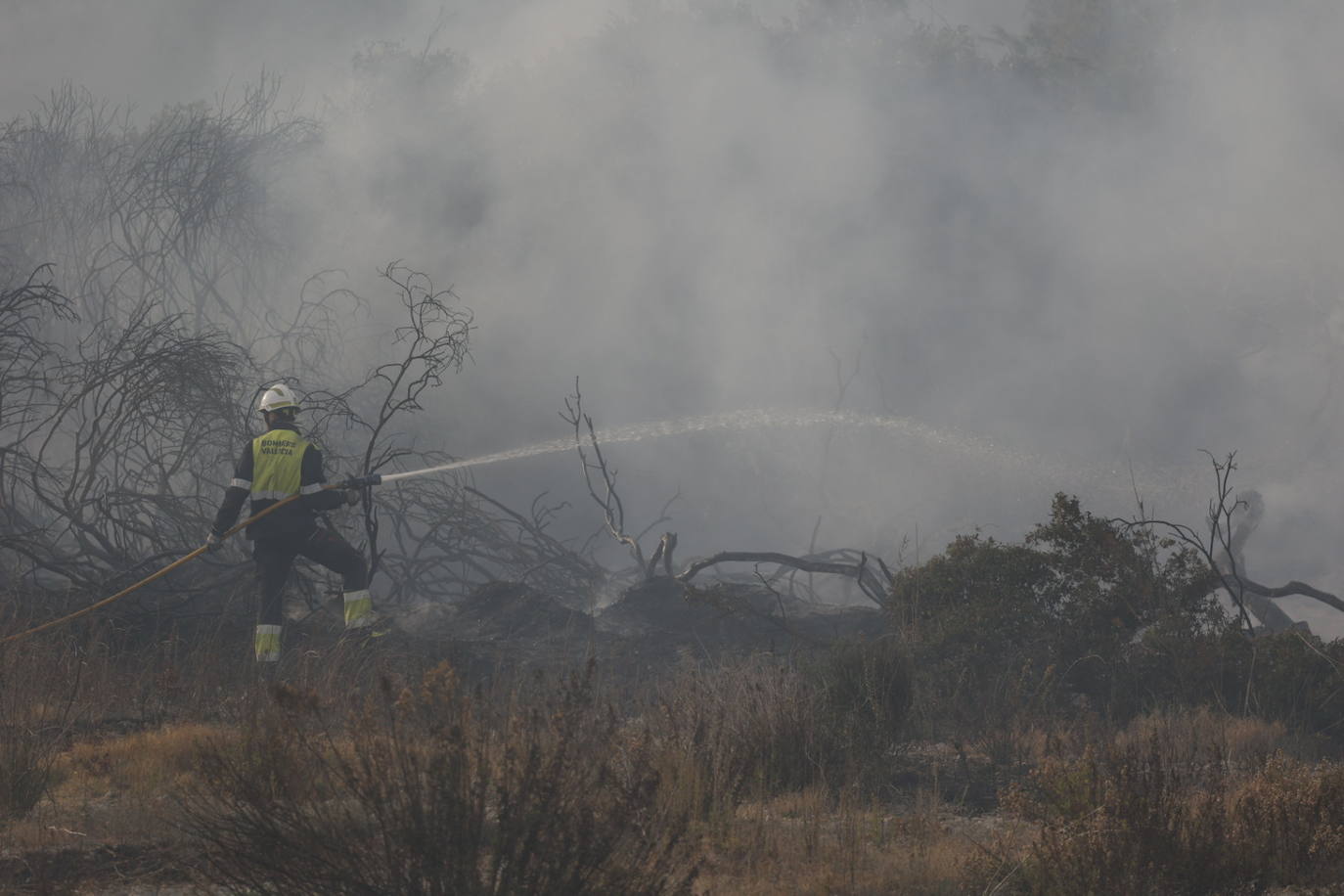 Incendio entre el Saler y Pinedo