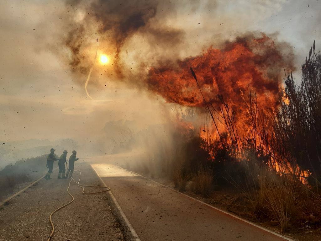 Incendio entre el Saler y Pinedo