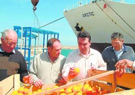 Citricultores de La Safor, examinando con preocupación, en el puerto de Gandía, naranjas importadas de Egipto.