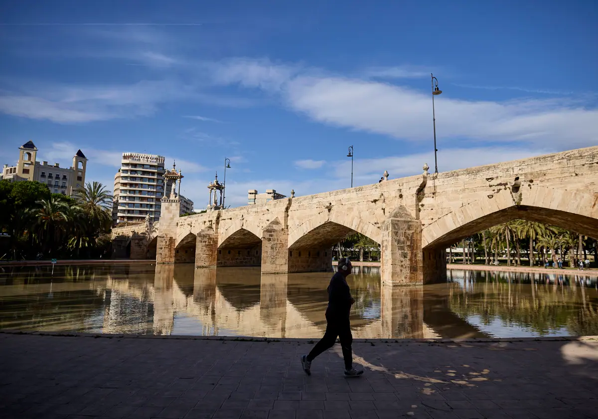 Estanque bajo el puente del Mar en el Jardín del Turia.