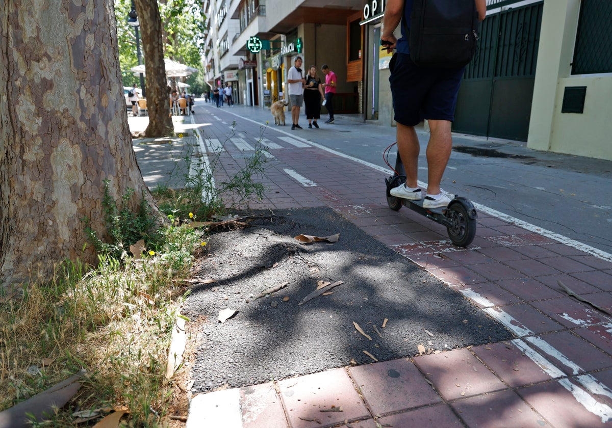 Deficiencias en el carril bici de la avenida Blasco Ibáñez de Valencia.