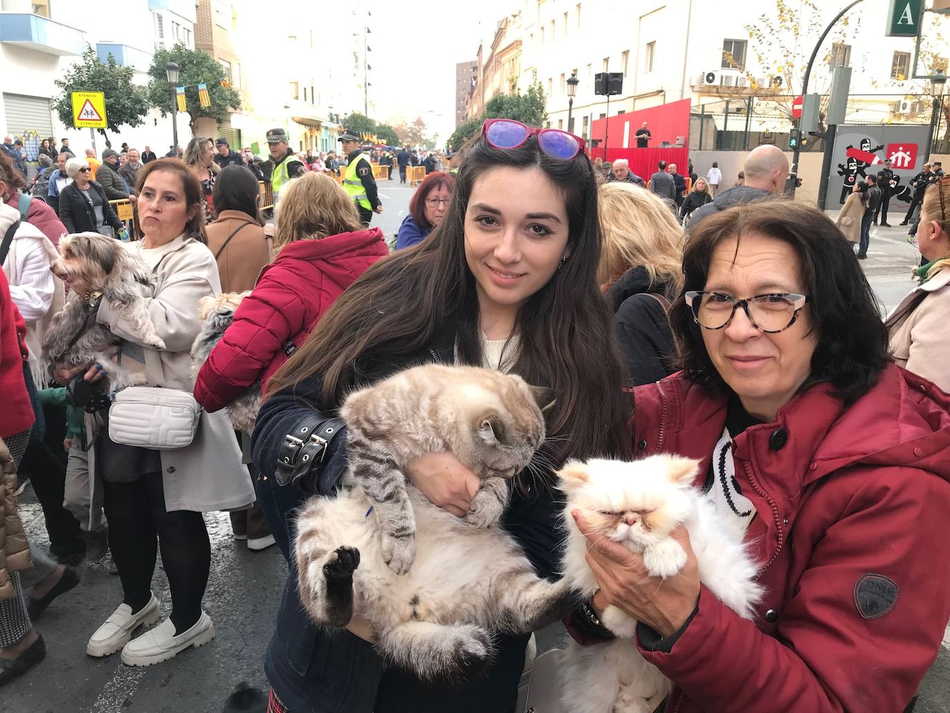 Los valencianos se vuelcan en la celebración de San Antón 2024