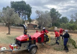 Labores de limpieza en el Parque Municipal de Pedralvilla.