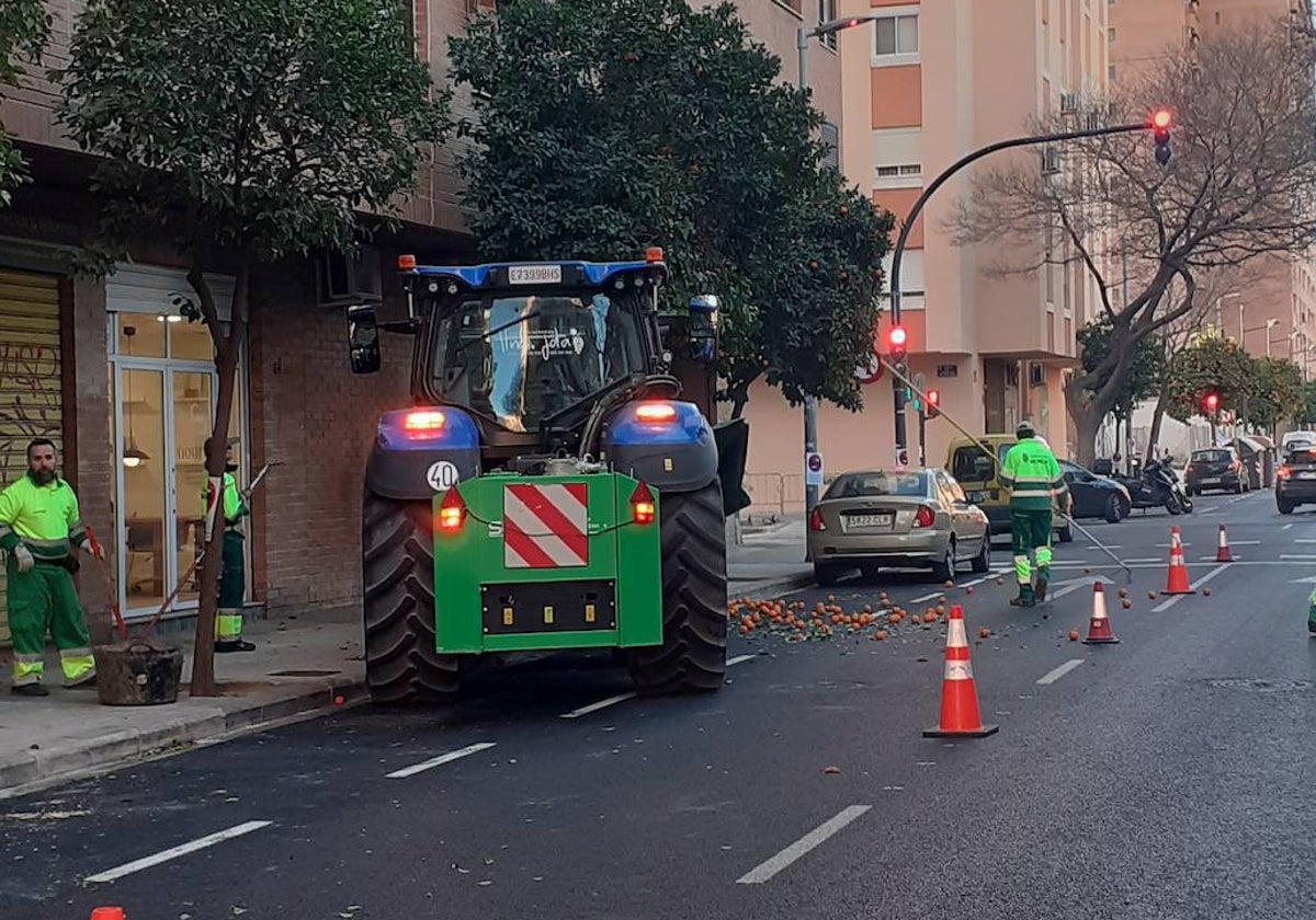 Operarios municipales recogen las naranjas de una calle de Valencia