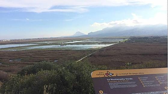 La Fiscalía abre una investigación por la extracción ilegal de miles de millones de litros de agua cerca del río Bullent