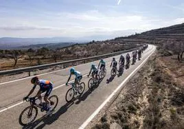 Varios ciclistas durante una etapa de la Volta.