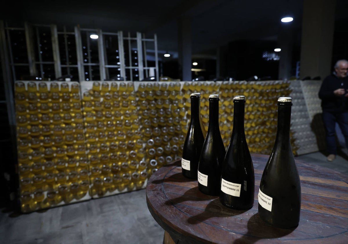 Luz verde del Ministerio para que los viticultores tengan su etiqueta 'DO Cava de Requena'