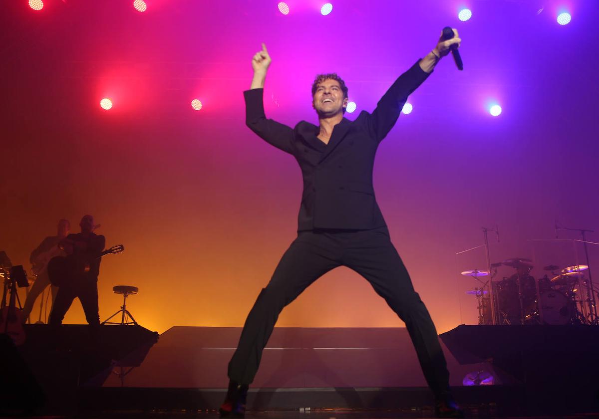 El cantante David Bisbal durante uno de sus conciertos.