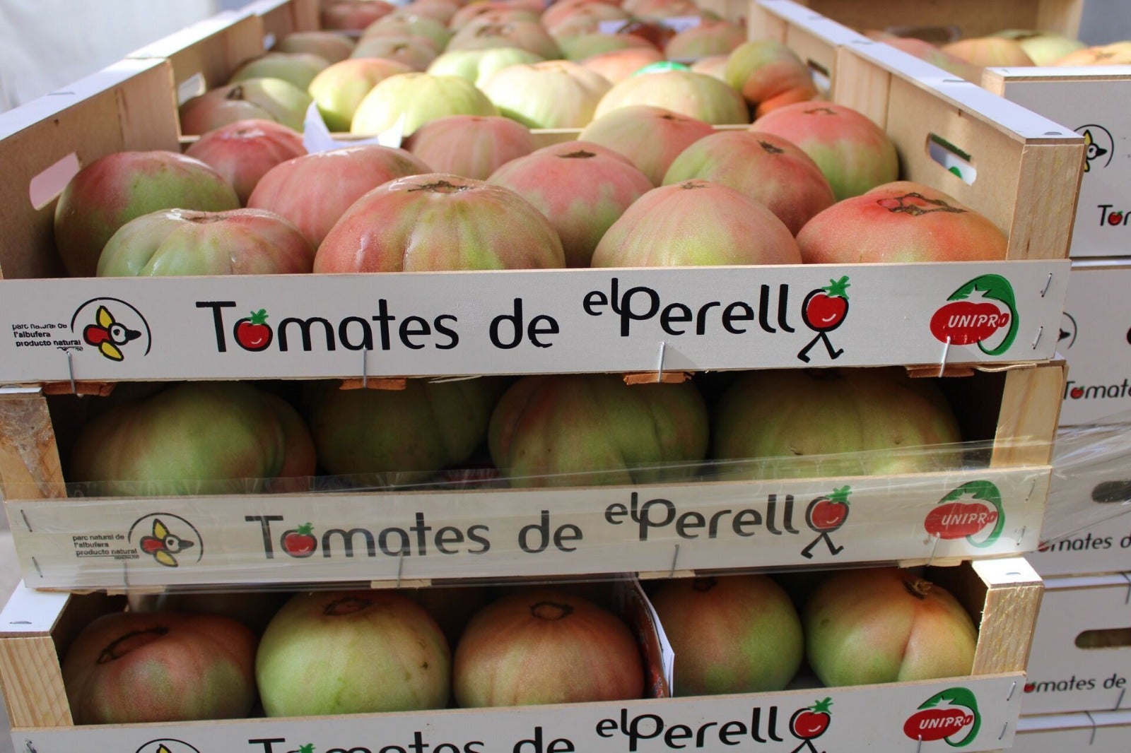 Tomates de El Perelló.