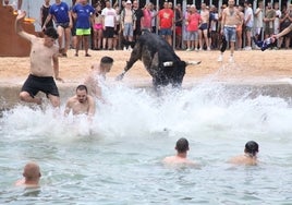 Una sesión de los bous a la mar de Dénia de julio del pasado año.