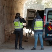 Mata a un indigente y deja a otro en estado grave al golpearlos con pedruscos en el viejo cauce de Valencia