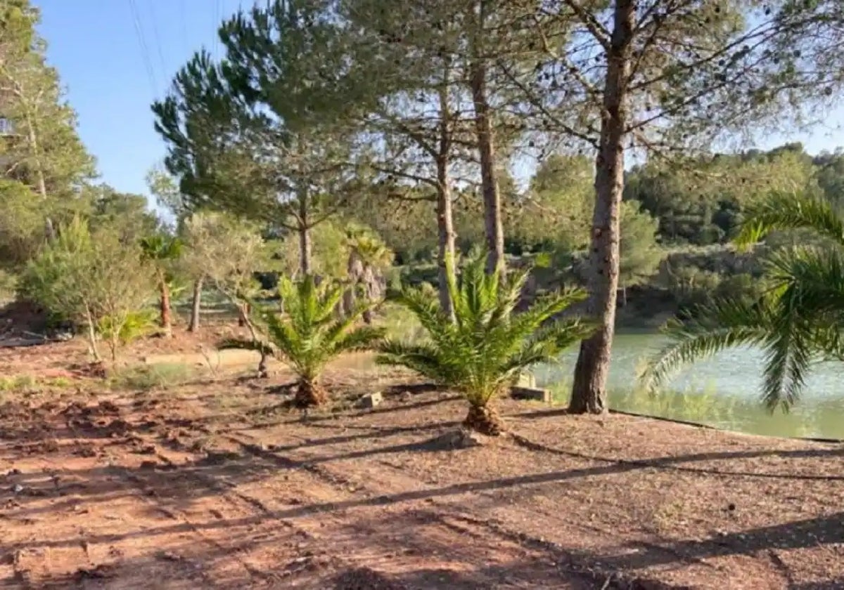 Lugar donde se iba a ubicar la residencia.