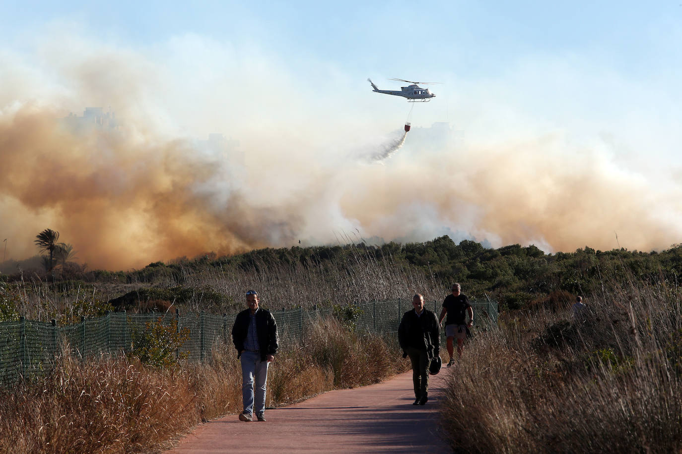 Fotos del incendio de El Saler que ha obligado a desalojar seis edificios