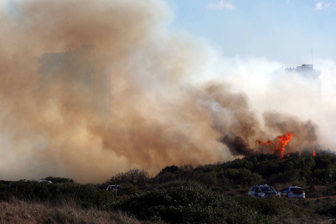 Fotos del incendio de El Saler que ha obligado a desalojar seis edificios