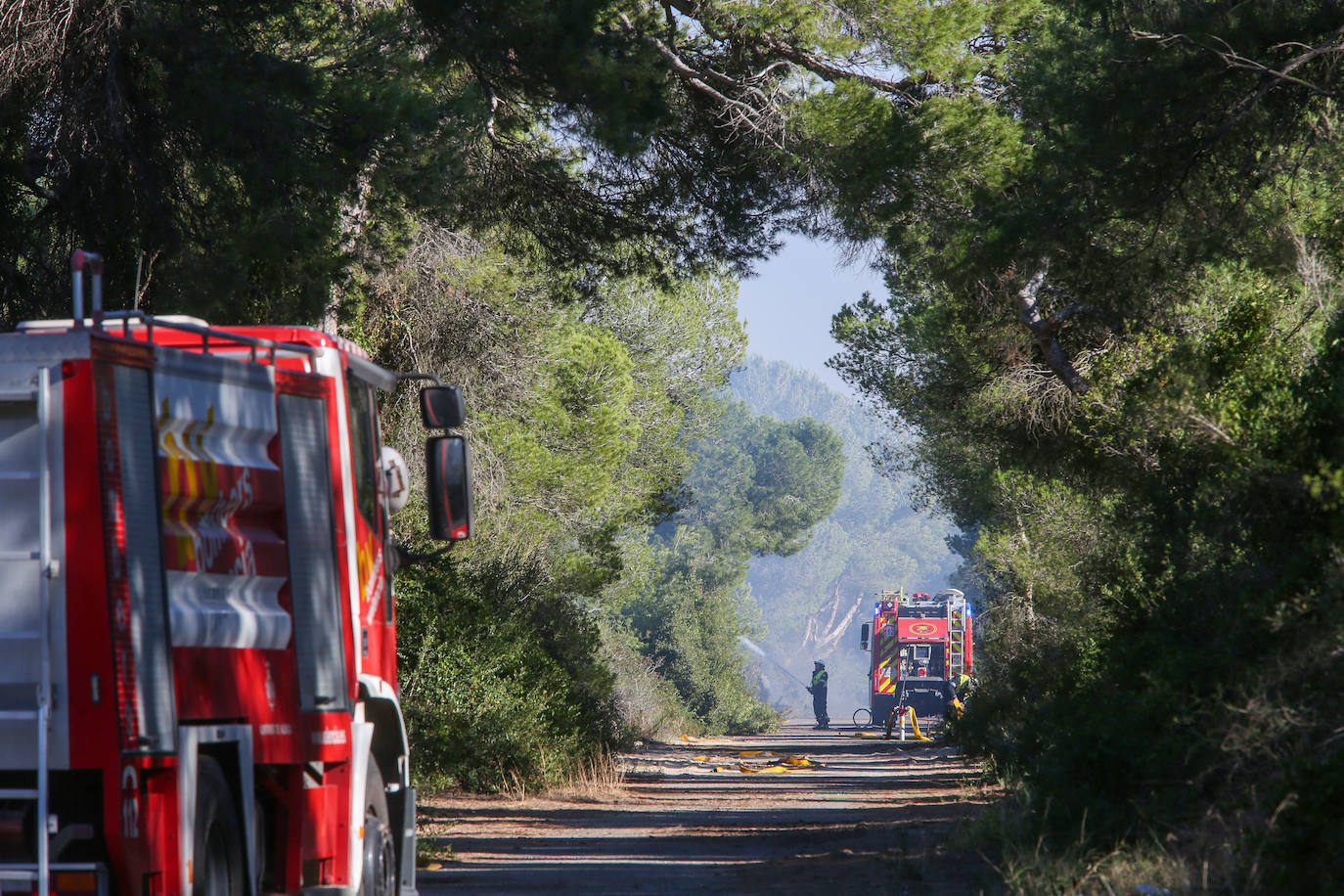 Fotos del incendio de El Saler que ha obligado a desalojar seis edificios