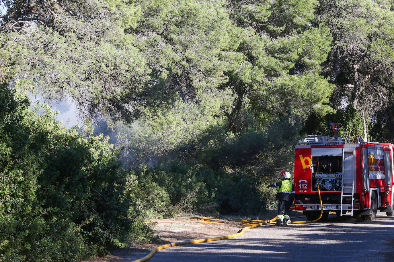 Fotos del incendio de El Saler que ha obligado a desalojar seis edificios