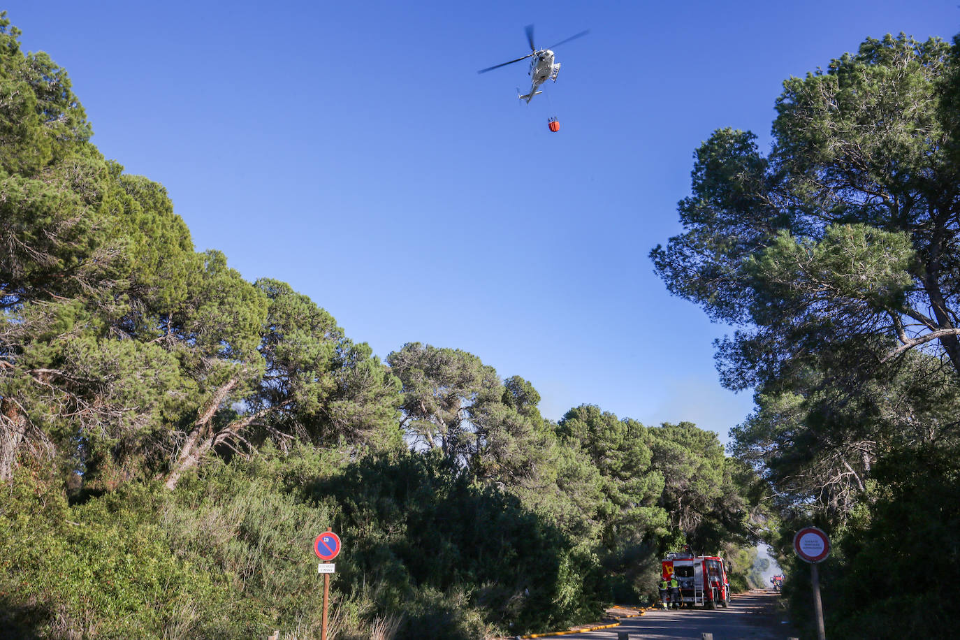 Fotos del incendio de El Saler que ha obligado a desalojar seis edificios