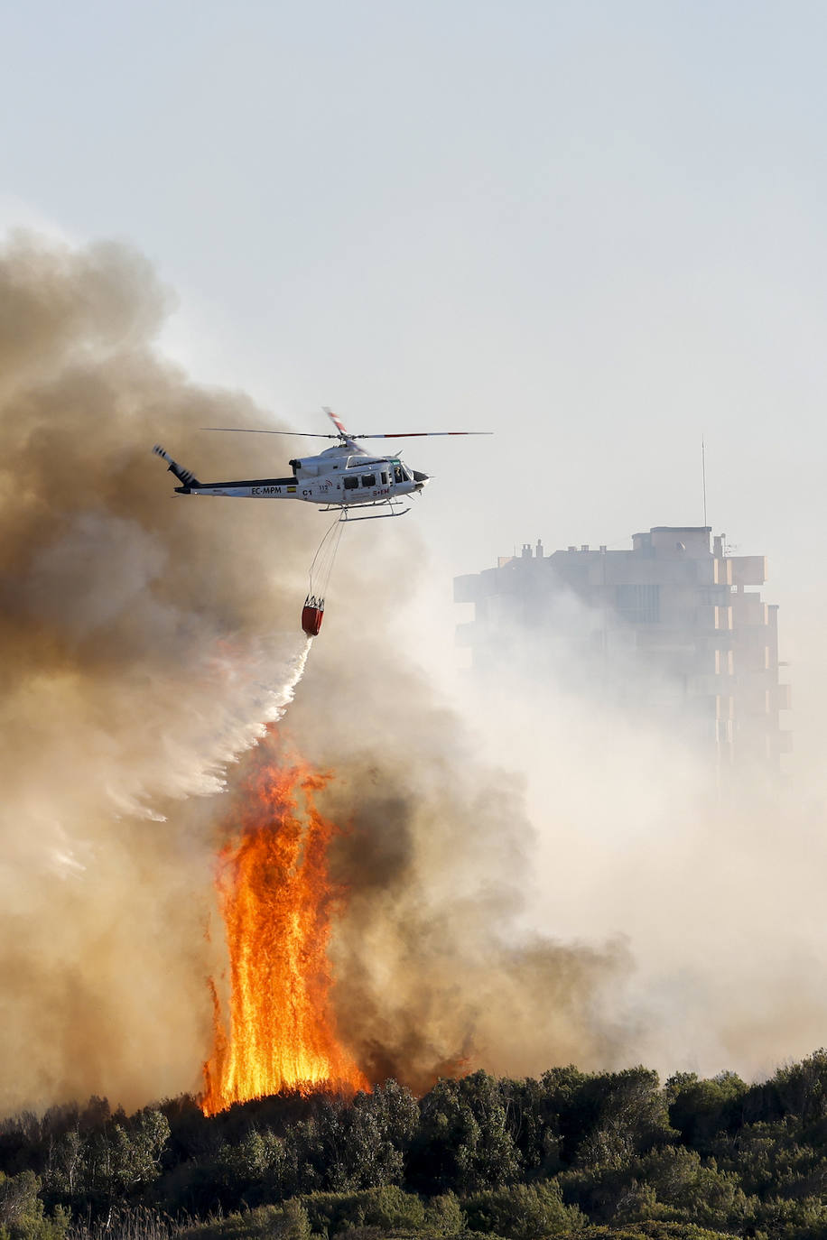 Fotos del incendio de El Saler que ha obligado a desalojar seis edificios