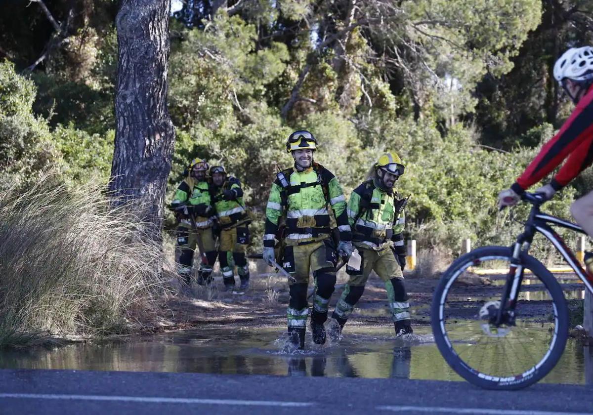 Los bomberos trabajan en el incendio de El Saler este martes.