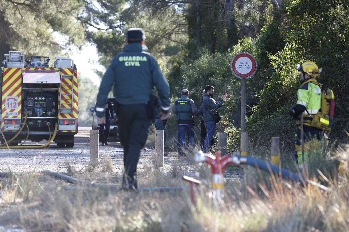 Fotos del incendio de El Saler que ha obligado a desalojar seis edificios