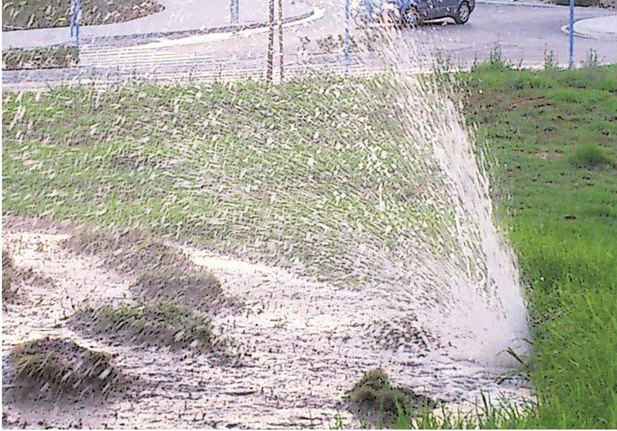 Una fuga de agua en un parque.