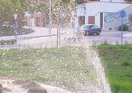 Una fuga de agua en un parque.