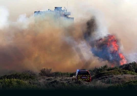 Imagen de uno de los últimos incendios de El Saler.