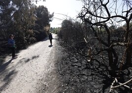 La Devesa, tras el incendio que asoló alrededores de las viviendas.