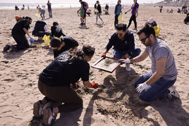 Voluntarios retirando basura de esta playa de Alboraya.