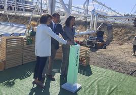 La fábrica de Heineken en Valencia pone en marcha la planta termosolar más grande del mundo
