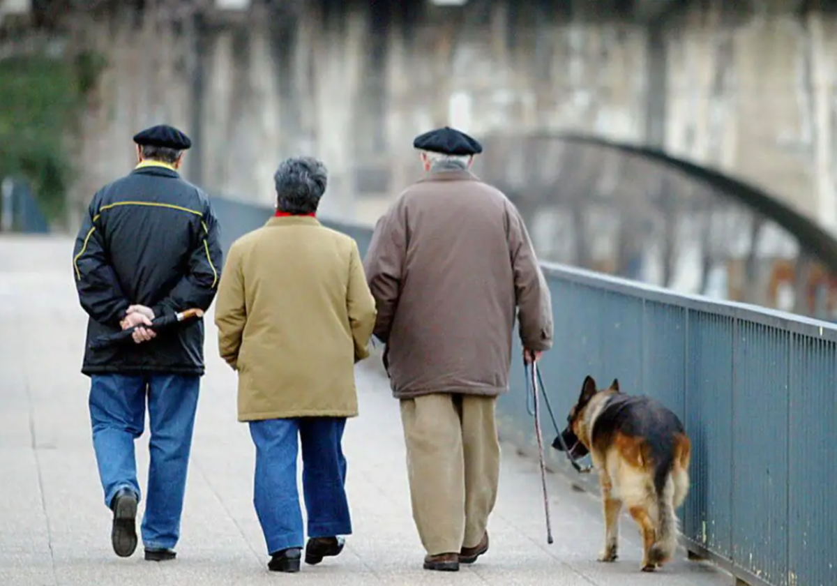 El complemento de la pensión que ya cobran miles de jubilados en España