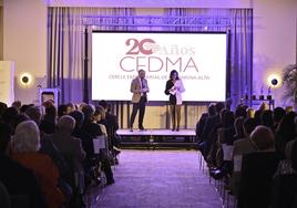 Reconocimiento y reivindicaciones en la gala de los Premios Cedma