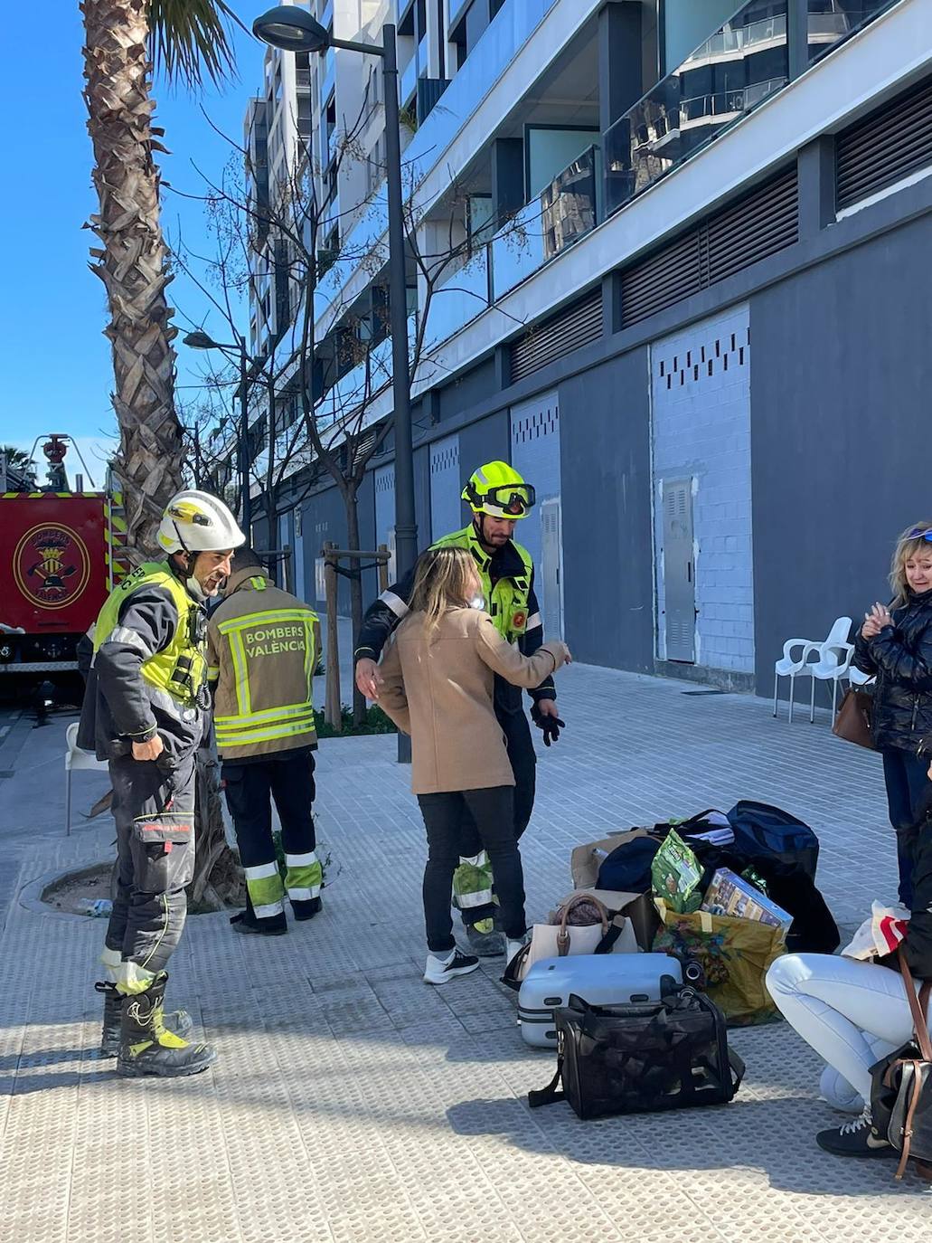 El gato &#039;Coco&#039;, con vida tras el incendio de Campanar