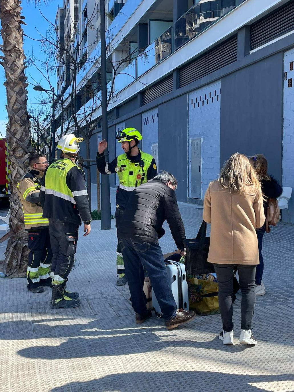 El gato &#039;Coco&#039;, con vida tras el incendio de Campanar